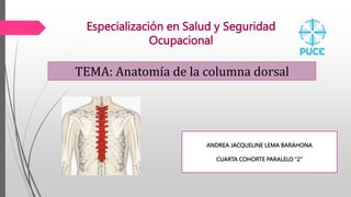 Especialización en Salud y Seguridad
Ocupacional
TEMA: Anatomía de la columna dorsal
ANDREA JACQUELINE LEMA BARAHONA
CUARTA COHORTE PARALELO “2”
 