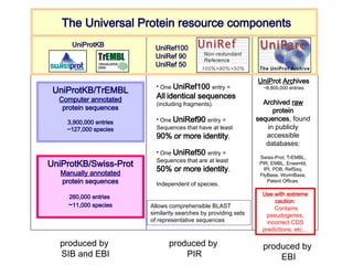 Uniprokb BLAST in Bioinformatics for Msc Biotechnology | PPT