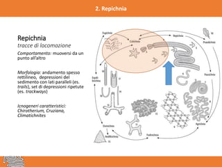 Icnologia | PDF