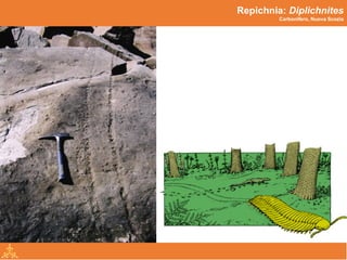 Icnologia | PDF