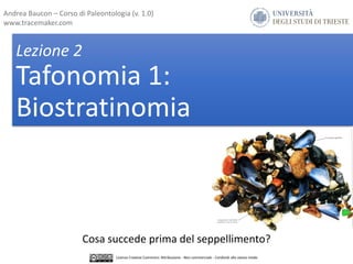 Lezione 2
Tafonomia 1:
Biostratinomia
Cosa succede prima del seppellimento?
Andrea Baucon – Corso di Paleontologia (v. 1.0)
www.tracemaker.com
Licenza Creative Commons: Attribuzione - Non commerciale - Condividi allo stesso modo
 