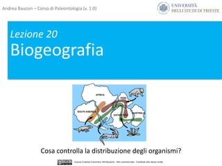 Lezione 20
Biogeografia
Cosa controlla la distribuzione degli organismi?
Andrea Baucon – Corso di Paleontologia (v. 1.0)
Licenza Creative Commons: Attribuzione - Non commerciale - Condividi allo stesso modo
 