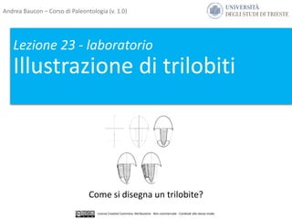 Lezione 23 - laboratorio
Illustrazione di trilobiti
Come si disegna un trilobite?
Andrea Baucon – Corso di Paleontologia (v. 1.0)
Licenza Creative Commons: Attribuzione - Non commerciale - Condividi allo stesso modo
 