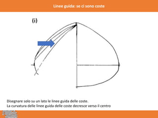 Linee guida: se ci sono coste
Disegnare solo su un lato le linee guida delle coste.
La curvatura delle linee guida delle coste decresce verso il centro
 