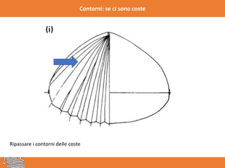Contorni: se ci sono coste
Ripassare i contorni delle coste
 