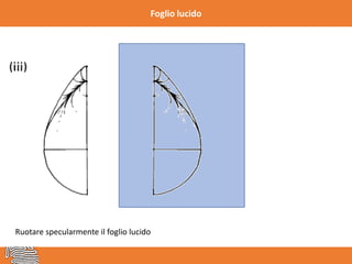 Foglio lucido
Ruotare specularmente il foglio lucido
 