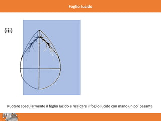 Foglio lucido
Ruotare specularmente il foglio lucido e ricalcare il foglio lucido con mano un po’ pesante
 