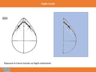 Foglio lucido
Ripassare le tracce lasciate sul foglio sottostante
 