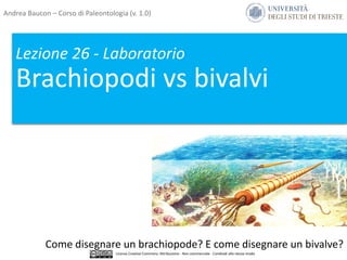 Lezione 26 - Laboratorio
Brachiopodi vs bivalvi
Come disegnare un brachiopode? E come disegnare un bivalve?
Andrea Baucon – Corso di Paleontologia (v. 1.0)
Licenza Creative Commons: Attribuzione - Non commerciale - Condividi allo stesso modo
 