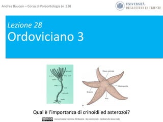 Lezione 28
Ordoviciano 3
Qual è l’importanza di crinoidi ed asterozoi?
Andrea Baucon – Corso di Paleontologia (v. 1.0)
Licenza Creative Commons: Attribuzione - Non commerciale - Condividi allo stesso modo
 