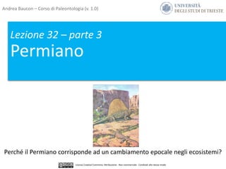 Lezione 32 – parte 3
Permiano
Perché il Permiano corrisponde ad un cambiamento epocale negli ecosistemi?
Andrea Baucon – Corso di Paleontologia (v. 1.0)
Licenza Creative Commons: Attribuzione - Non commerciale - Condividi allo stesso modo
 