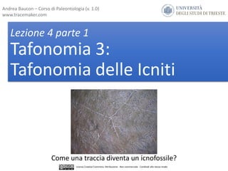 Lezione 4 parte 1
Tafonomia 3:
Tafonomia delle Icniti
Come una traccia diventa un icnofossile?
Andrea Baucon – Corso di Paleontologia (v. 1.0)
www.tracemaker.com
Licenza Creative Commons: Attribuzione - Non commerciale - Condividi allo stesso modo
 