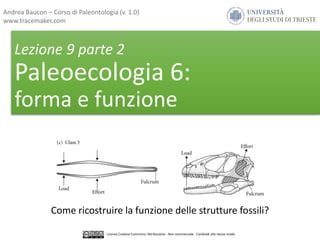 Lezione 9 parte 2
Paleoecologia 6:
forma e funzione
Come ricostruire la funzione delle strutture fossili?
Licenza Creative Commons: Attribuzione - Non commerciale - Condividi allo stesso modo
Andrea Baucon – Corso di Paleontologia (v. 1.0)
www.tracemaker.com
 