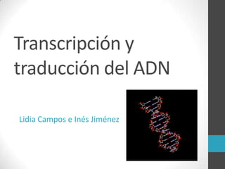 Transcripción y
traducción del ADN
Lidia Campos e Inés Jiménez

 