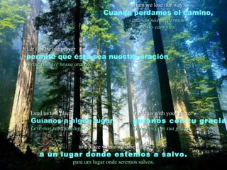 Let this be our prayer permite que ésta sea nuestra oración Deixe isso ser nossa oração when we lose our way . Cuando perdamos el camino, quando nós perdermos nosso caminho. Lead us to a place. Guíanos a algún lugar, Leve-nos para um lugar. Guide us with your grace. guíanos con tu gracia Guia-nos com sua graça. to a place where we'll be safe.   a un lugar donde estemos a salvo. para um lugar onde seremos salvos. 