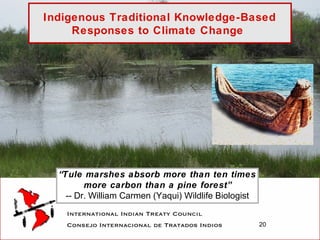 Climate change and land rights of Indigenous peoples | PPT