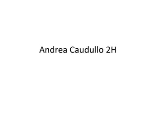 Andrea Caudullo 2H

 