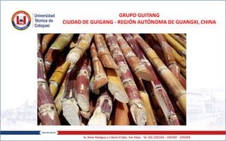 GRUPO GUITANG
CIUDAD DE GUIGANG - REGIÓN AUTÓNOMA DE GUANGXI, CHINA
 