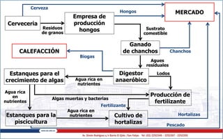 MERCADO
Cerveceria
Empresa de
producción
hongos
Ganado
de chanchos
Digestor
anaeróbico
CALEFACCIÓN
Estanques para el
crecimiento de algas
Estanques para la
piscicultura
Cultivo de
hortalizas
Producción de
fertilizante
Residuos
de granos
Sustrato
comestible
Agues
residuales
Biogas
Agua rica en
nutrientes
Pescado
Hortalizas
Fertilizante
Algas muertas y bacterias
Hongos
Cerveza
Agua rica
en
nutrientes
Agua rica en
nutrientes
Chanchos
Lodos
 