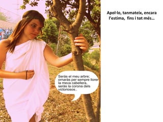 Apol·lo, tanmateix, encara
l’estima, fins i tot més…
 
