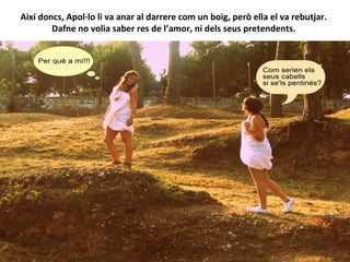 Així doncs, Apol·lo li va anar al darrere com un boig, però ella el va rebutjar.
Dafne no volia saber res de l’amor, ni dels seus pretendents.
 