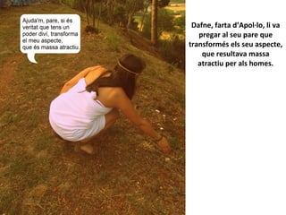 Dafne, farta d’Apol·lo, li va
pregar al seu pare que
transformés els seu aspecte,
que resultava massa
atractiu per als homes.
 