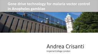 Andrea Crisanti
Imperial College London
Gene drive technology for malaria vector control
in Anopheles gambiae
 