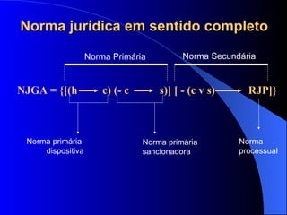 NJGA = {[(h  c) (- c  s)] [ - (c v s)  RJP]} Norma Primária Norma primária  dispositiva Norma primária  sancionadora Norma Secundária Norma jurídica em sentido completo Norma processual 