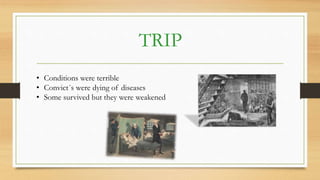 TRIP
• Conditions were terrible
• Convict´s were dying of diseases
• Some survived but they were weakened
 