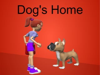 Dog's Home
 