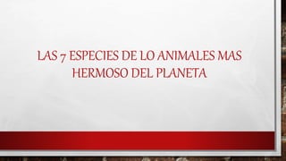 LAS 7 ESPECIES DE LO ANIMALES MAS
HERMOSO DEL PLANETA
 