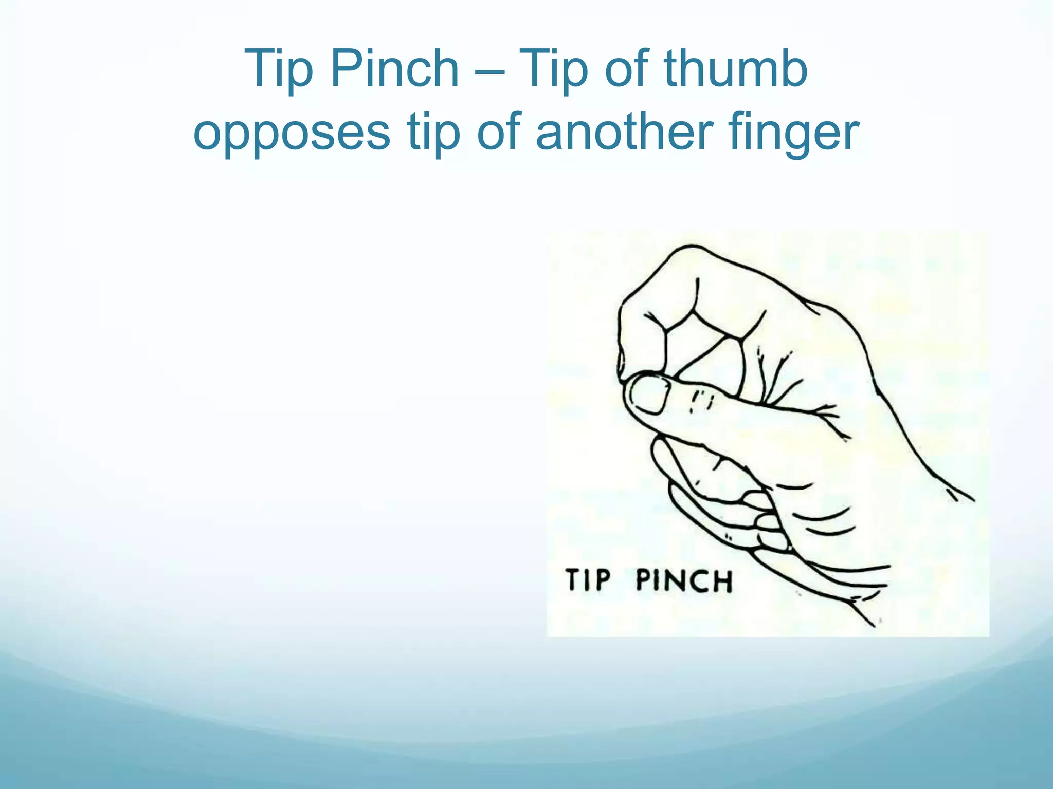 Tip Pinch – Tip of thumb
opposes tip of another finger
 