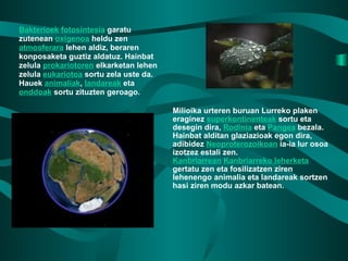 Milioika urteren buruan Lurreko plaken eraginez  superkontinenteak  sortu eta desegin dira,  Rodinia  eta  Pangea  bezala. Hainbat alditan glaziazioak egon dira, adibidez  Neoproterozoikoan  ia-ia lur osoa izotzez estali zen. Kanbriarrean   Kanbriarreko leherketa  gertatu zen eta fosilizatzen ziren lehenengo animalia eta landareak sortzen hasi ziren modu azkar batean. Bakterioek   fotosintesia  garatu zutenean  oxigenoa  heldu zen  atmosferara  lehen aldiz, beraren konposaketa guztiz aldatuz. Hainbat zelula  prokariotoren  elkarketan lehen zelula  eukariotoa  sortu zela uste da. Hauek  animaliak ,  landareak  eta  onddoak  sortu zituzten geroago. 
