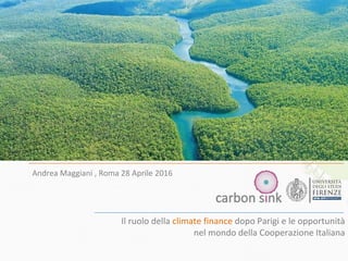 Il ruolo della climate finance dopo Parigi e le opportunità
nel mondo della Cooperazione Italiana
Andrea Maggiani , Roma 28 Aprile 2016
 