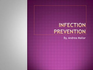 Infection Prevention By, Andrea Mallar 
