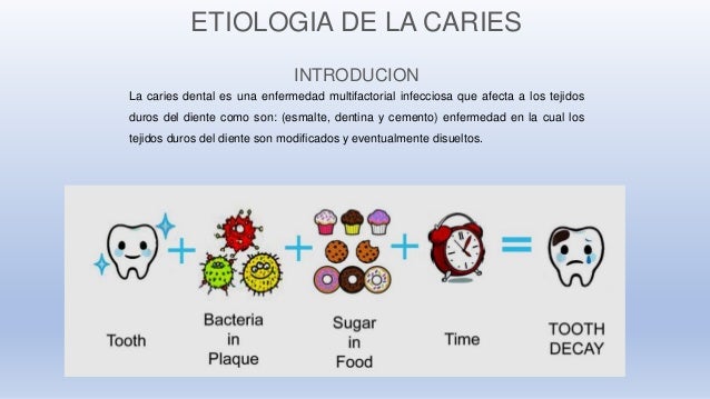 Carmen Hurtado Chancafe Historia Natural de la Enfermedad Caries Dental
