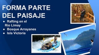 FORMA PARTE
DEL PAISAJE
● Rafting en el
Rio Limay
● Bosque Arrayanes
● Isla Victoria
 