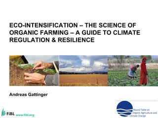ECO-INTENSIFICATION – THE SCIENCE OF ORGANIC FARMING – A GUIDE TO CLIMATE REGULATION & RESILIENCE Andreas Gattinger 