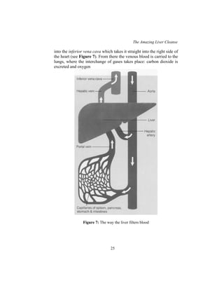 The Amazing Liver Cleanse
25
into the inferior vena cava which takes it straight into the right side of
the heart (see Figure 7). From there the venous blood is carried to the
lungs, where the interchange of gases takes place: carbon dioxide is
excreted and oxygen
Figure 7: The way the liver filters blood
 