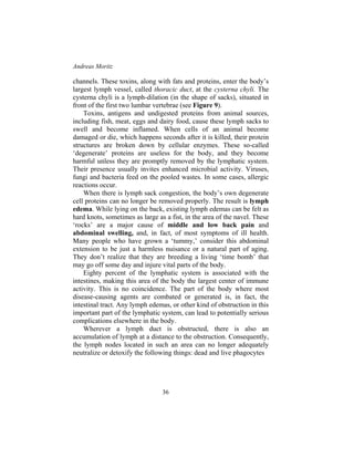Andreas Moritz
36
channels. These toxins, along with fats and proteins, enter the body’s
largest lymph vessel, called thoracic duct, at the cysterna chyli. The
cysterna chyli is a lymph-dilation (in the shape of sacks), situated in
front of the first two lumbar vertebrae (see Figure 9).
Toxins, antigens and undigested proteins from animal sources,
including fish, meat, eggs and dairy food, cause these lymph sacks to
swell and become inflamed. When cells of an animal become
damaged or die, which happens seconds after it is killed, their protein
structures are broken down by cellular enzymes. These so-called
‘degenerate’ proteins are useless for the body, and they become
harmful unless they are promptly removed by the lymphatic system.
Their presence usually invites enhanced microbial activity. Viruses,
fungi and bacteria feed on the pooled wastes. In some cases, allergic
reactions occur.
When there is lymph sack congestion, the body’s own degenerate
cell proteins can no longer be removed properly. The result is lymph
edema. While lying on the back, existing lymph edemas can be felt as
hard knots, sometimes as large as a fist, in the area of the navel. These
‘rocks’ are a major cause of middle and low back pain and
abdominal swelling, and, in fact, of most symptoms of ill health.
Many people who have grown a ‘tummy,’ consider this abdominal
extension to be just a harmless nuisance or a natural part of aging.
They don’t realize that they are breeding a living ‘time bomb’ that
may go off some day and injure vital parts of the body.
Eighty percent of the lymphatic system is associated with the
intestines, making this area of the body the largest center of immune
activity. This is no coincidence. The part of the body where most
disease-causing agents are combated or generated is, in fact, the
intestinal tract. Any lymph edemas, or other kind of obstruction in this
important part of the lymphatic system, can lead to potentially serious
complications elsewhere in the body.
Wherever a lymph duct is obstructed, there is also an
accumulation of lymph at a distance to the obstruction. Consequently,
the lymph nodes located in such an area can no longer adequately
neutralize or detoxify the following things: dead and live phagocytes
 