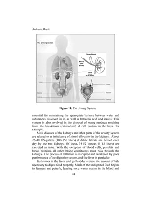 Andreas Moritz
44
Figure 11: The Urinary System
essential for maintaining the appropriate balance between water and
substances dissolved in it, as well as between acid and alkalis. This
system is also involved in the disposal of waste products resulting
from the breakdown (catabolism) of cell protein in the liver, for
example.
Most diseases of the kidneys and other parts of the urinary system
are related to an imbalance of simple filtration in the kidneys. About
26-40 US-gallons (100-150 liters) of dilute filtrate are formed each
day by the two kidneys. Of these, 34-52 ounces (1-1.5 liters) are
excreted as urine. With the exception of blood cells, platelets and
blood proteins, all other blood constituents must pass through the
kidneys. The process of filtration is disrupted and weakened by poor
performance of the digestive system, and the liver in particular.
Gallstones in the liver and gallbladder reduce the amount of bile
necessary to digest food properly. Much of the undigested food begins
to ferment and putrefy, leaving toxic waste matter in the blood and
 
