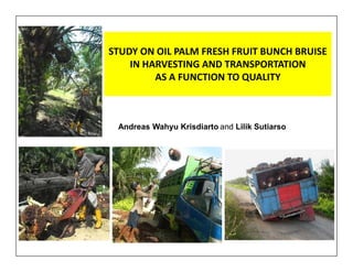 STUDY ON OIL PALM FRESH FRUIT BUNCH BRUISE
IN HARVESTING AND TRANSPORTATION
AS A FUNCTION TO QUALITY
Andreas Wahyu Krisdiarto and Lilik Sutiarso
 