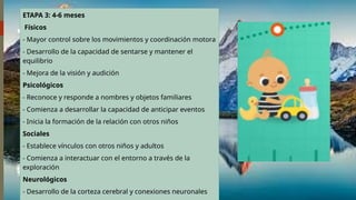ETAPA 3: 4-6 meses
Físicos
- Mayor control sobre los movimientos y coordinación motora
- Desarrollo de la capacidad de sentarse y mantener el
equilibrio
- Mejora de la visión y audición
Psicológicos
- Reconoce y responde a nombres y objetos familiares
- Comienza a desarrollar la capacidad de anticipar eventos
- Inicia la formación de la relación con otros niños
Sociales
- Establece vínculos con otros niños y adultos
- Comienza a interactuar con el entorno a través de la
exploración
Neurológicos
- Desarrollo de la corteza cerebral y conexiones neuronales
 