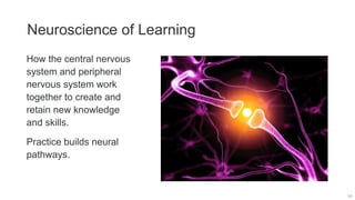 Neuroscience of Learning
50
How the central nervous
system and peripheral
nervous system work
together to create and
retain new knowledge
and skills.
Practice builds neural
pathways.
 
