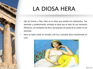 LA DIOSA HERA
•   Hija de Cronos y Rea. Hera es la diosa que preside los matrimonios. Fue
    devorada y posteriormente vomitada al igual que el resto de sus hermanos
    Olímpicos, con excepción de Zeus, que gracias a la ayuda de su madre no fue
    devorado.
•   Hera se había criado en Arcadia y allí fue a buscarla Zeus transformado en
    cuco.
 