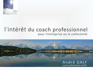 l’intérêt du coach professionnel
pour l’entreprise ou la collectivité
Pour accompagner le changement, optimiser
& développer la performance
André GALY
coach professionnel certifié
 