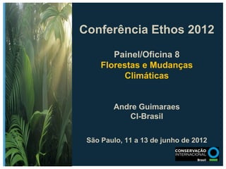 Conferência Ethos 2012

        Painel/Oficina 8
     Florestas e Mudanças
          Climáticas


        Andre Guimaraes
           CI-Brasil

 São Paulo, 11 a 13 de junho de 2012
 
