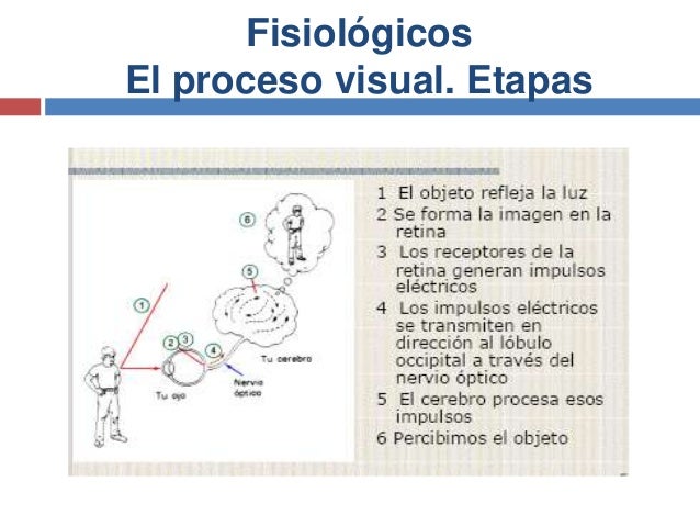 Andrei alviarez percepcion visual
