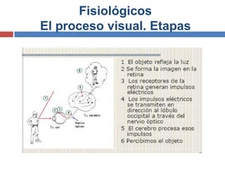 Fisiológicos
El proceso visual. Etapas
 
