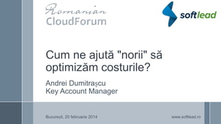 Cum ne ajută "norii" să
optimizăm costurile?
Andrei Dumitrașcu
Key Account Manager

București, 20 februarie 2014

www.softlead.ro

 